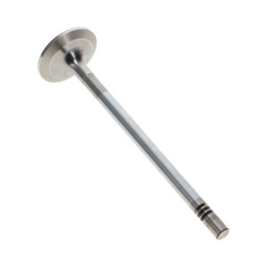 Inlet Valve - Suits Volvo D7E