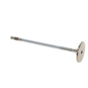INLET VALVE TO SUIT MAN D0834/D0836 ENGINE