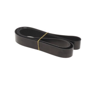 POLY RIB BELT
