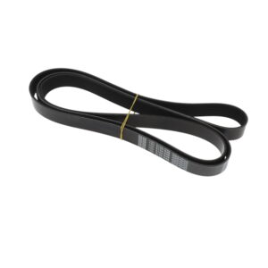 POLY RIB BELT