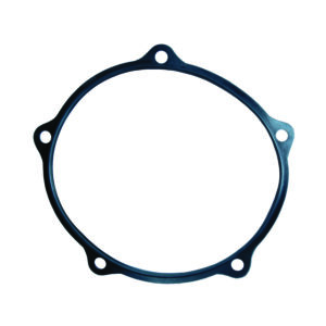 HUB CAP GASKET