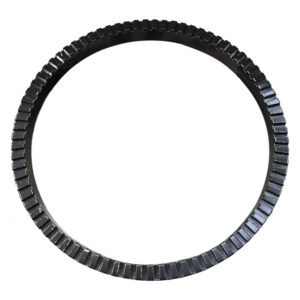 EXCITER RING 80 TOOTH GIGANT