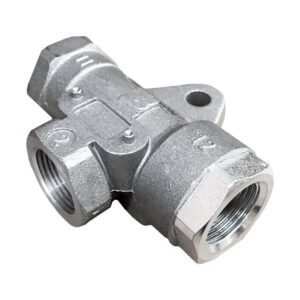 DOUBLE CHECK VALVE - BERTOCCO TYPE