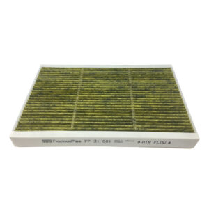 CABIN FILTER FP 31 001