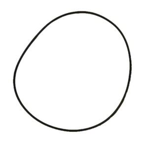 O RING EQUIV SAF 4315005600
