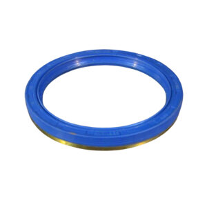 HUB SEAL
