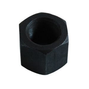 NUT M24X2