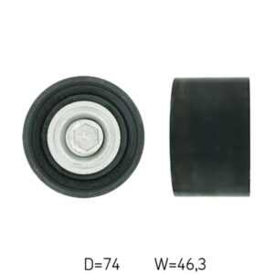 Multi-V idler kit