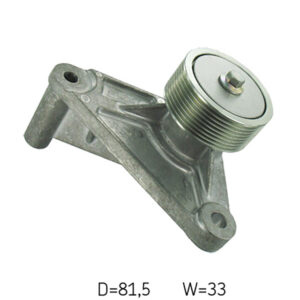 Multi-V idler kit