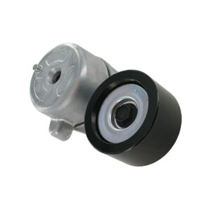 Multi-V tensioner kit