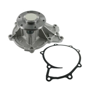 Water pump kit