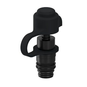 Check valve