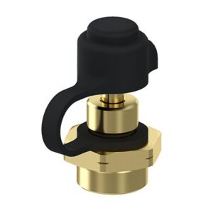 Check valve