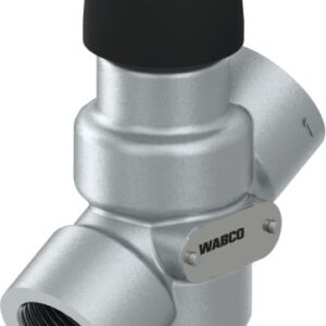 Quick Release Valve