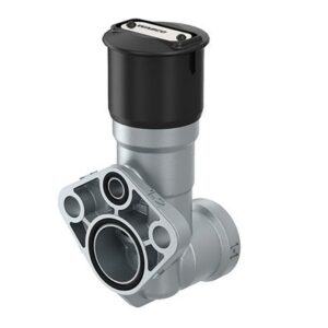 Quick Release Valve