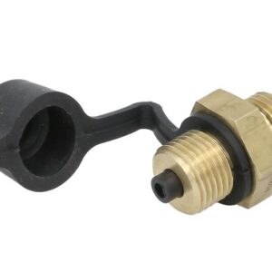 Check valve