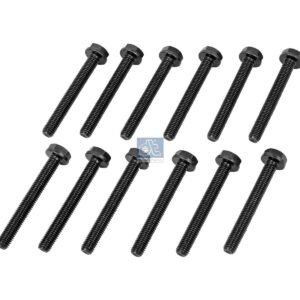 DT Spare Parts 11.11070 Screw kit, crankshaft, M10, L: 80 mm
