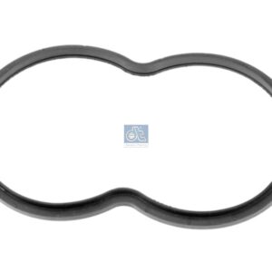DT Spare Parts 1.24111 Thermostat gasket