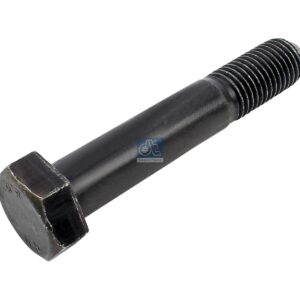 DT Spare Parts 1.25703 Screw, M20 x 2,5, SW: 30, L: 112 mm
