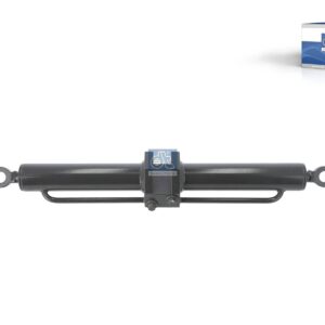 DT Spare Parts 2.00893 Hydraulic cylinder