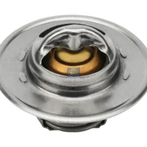 DT Spare Parts 2.15074 Thermostat, 60 °C