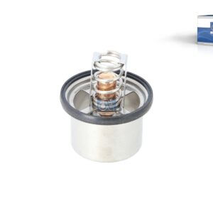 DT Spare Parts 2.15076 Thermostat, 71 °C