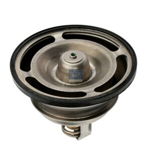 DT Spare Parts 2.15640 Thermostat, 76 °C