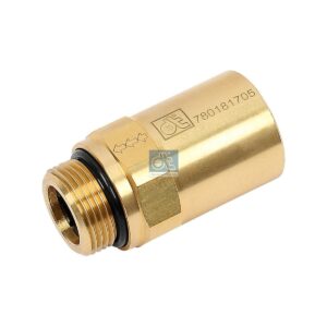 DT Spare Parts 2.44136 Relief valve, M22 x 1,5