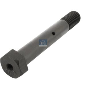 DT Spare Parts 2.61089 Screw, M20 x 2,5, LTh: 33 mm, Lu: 125 mm
