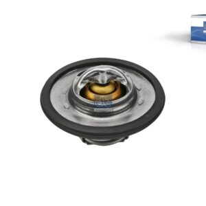 DT Spare Parts 2.91502 Thermostat kit, 60 °C