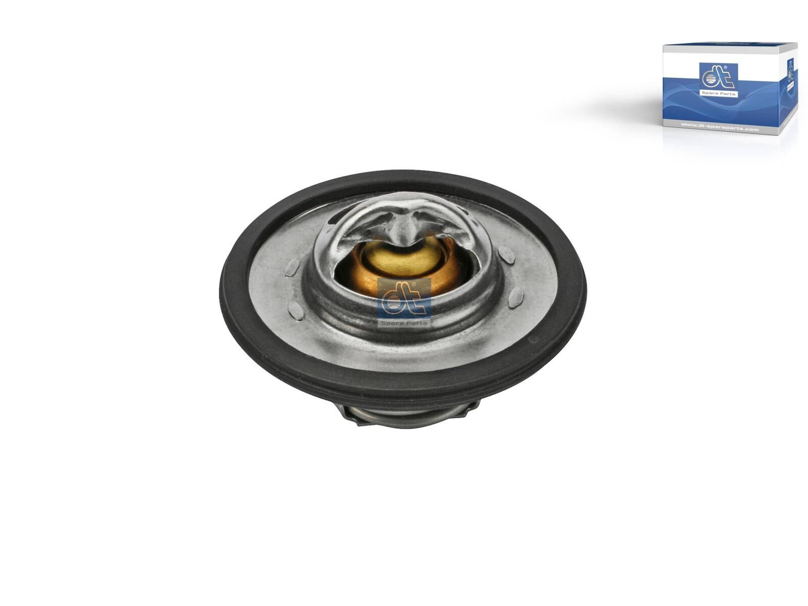 DT Spare Parts 2.91502 Thermostat kit, 60 °C