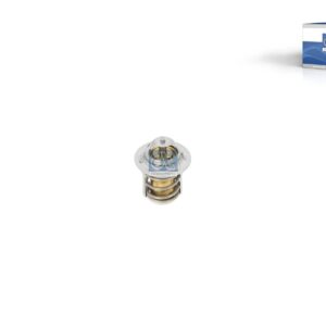 DT Spare Parts 3.00630 Thermostat, intercooler