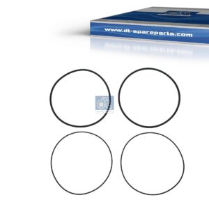 DT Spare Parts 3.90010 Seal ring kit