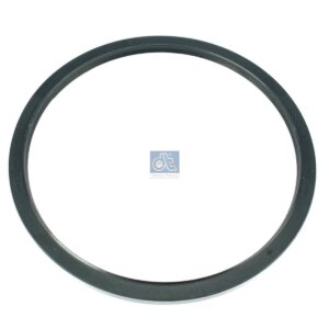 DT Spare Parts 4.20363 Oil seal, d: 170 mm, D: 190 mm, H1: 8 mm, H2: 9 mm