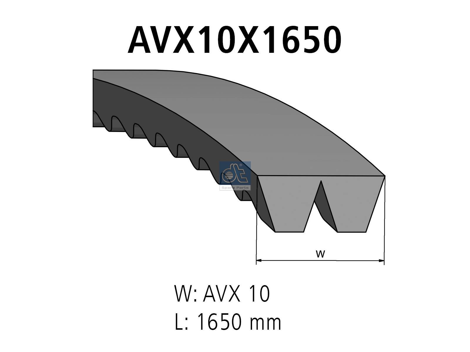 DT Spare Parts 3.34413 Banded v-belts, L: 1650 mm, W: 10 mm, AVX10X1650, 2 belts