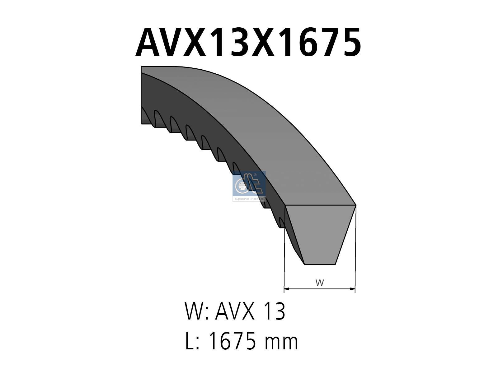 DT Spare Parts 3.34422SP V-belt kit, L: 1675 mm, W: 13 mm, AVX13X1675, 2 belts