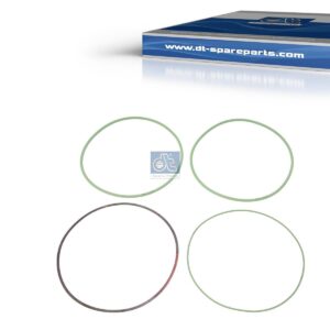 DT Spare Parts 4.90623 Seal ring kit, green