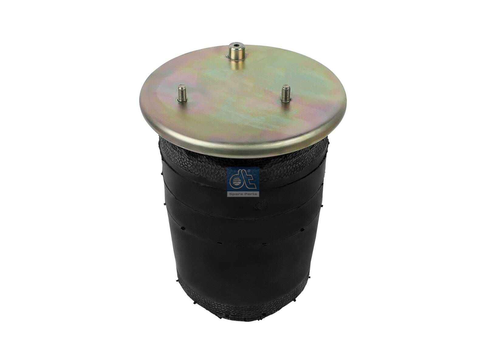 DT Spare Parts 7.12055 Air spring, left