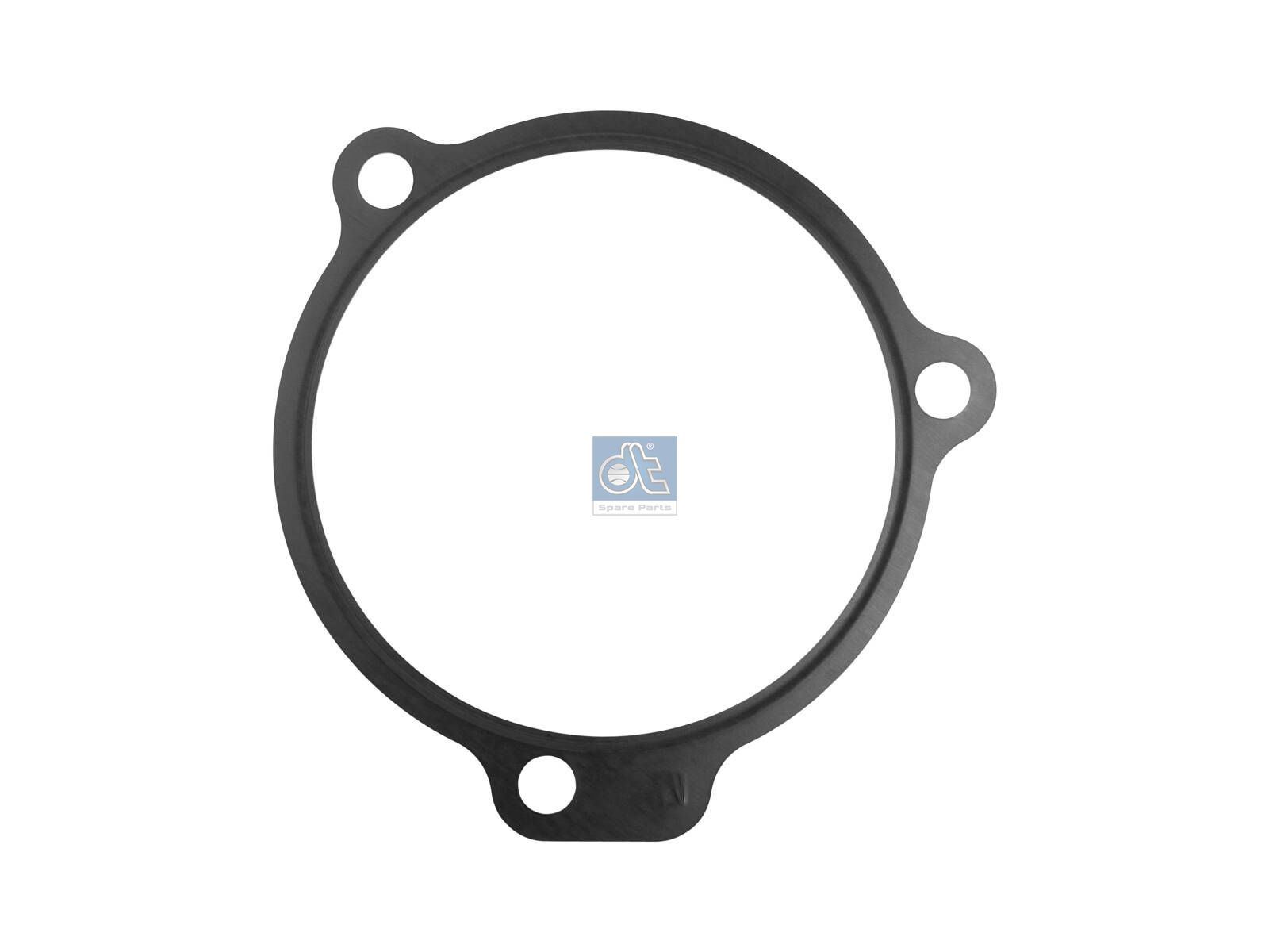 DT Spare Parts 7.56070 Gasket, feed pump