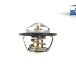 DT Spare Parts 7.60216 Thermostat, 82 °C