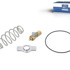 DT Spare Parts 7.94801 Repair kit, thermostat, 79 °C